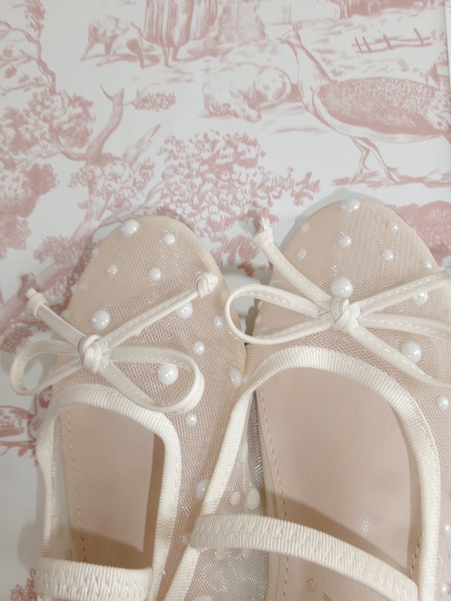 The Ballerina Sheer Mesh Pearl Flat