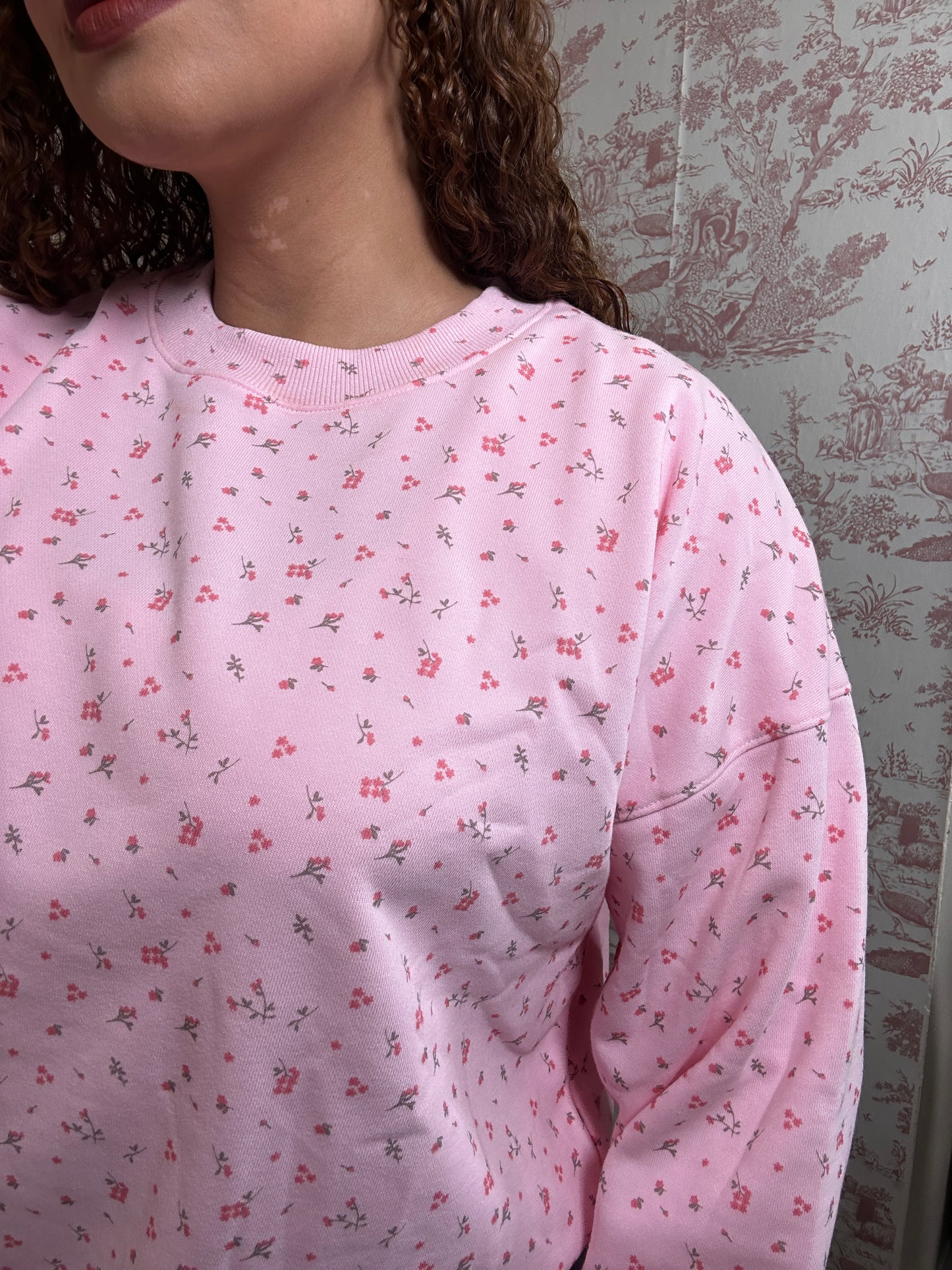 Ditsy Pink Palace Crew Neck Ditsy Floral Printed Oversized Sweatshirt