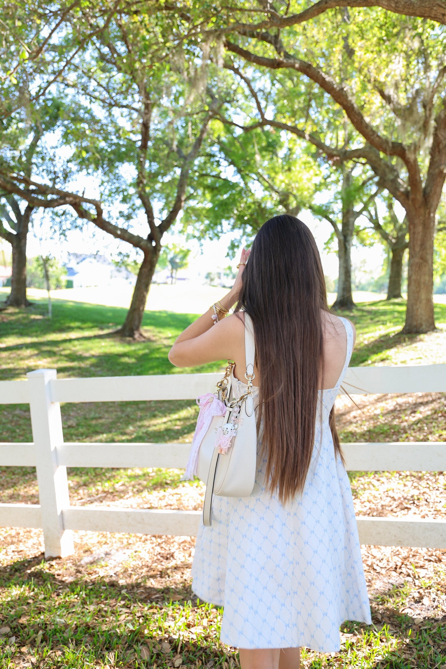 The Emilyrie Cotton Denim Dress Bow Print