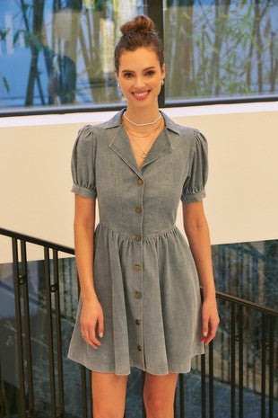 The Galapagos Denim Mini Dress