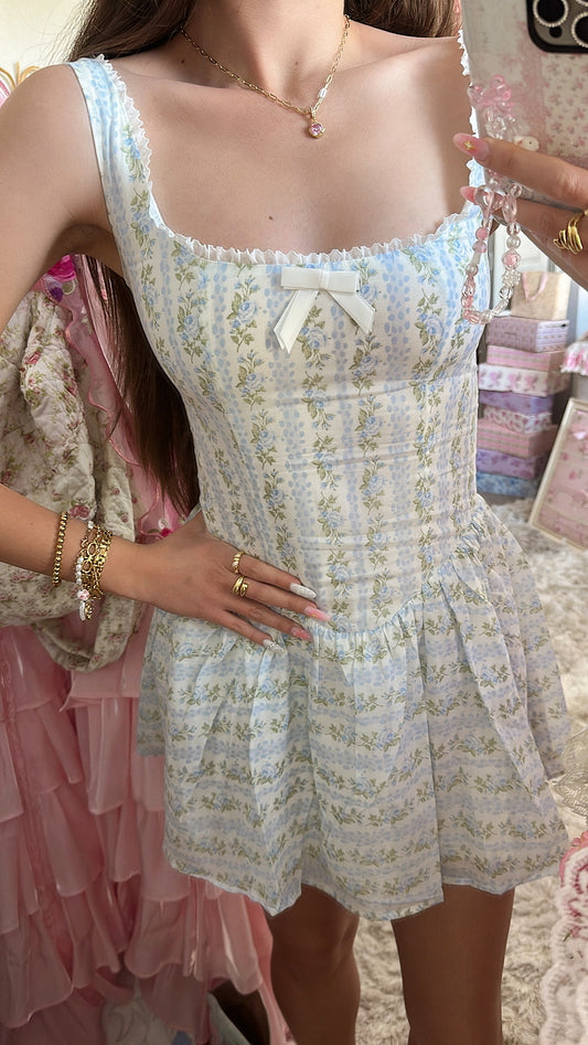 Whimsical Garden Blue Floral Mini Dress
